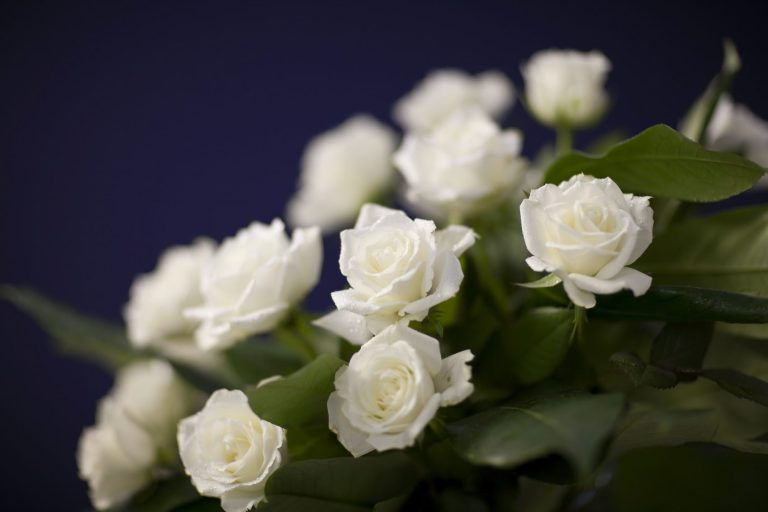 Funeral Ceremonies Option